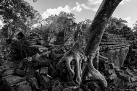 Der Preah Khan, das Heilige Schwert Angkors